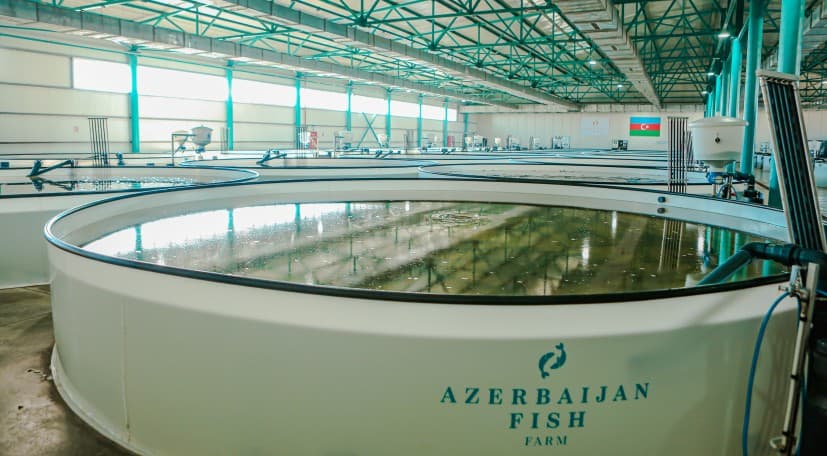 Indoor recirculating tanks